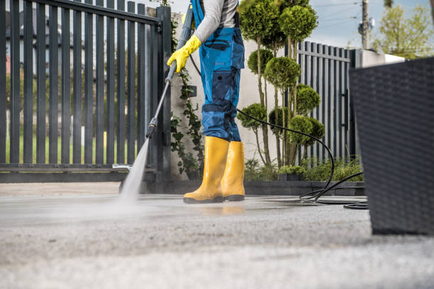 Best Driveway Pressure Washing  in Kirbyville, TX