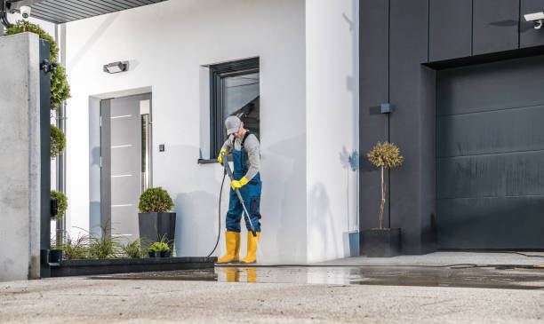 Best Graffiti Removal  in Kirbyville, TX